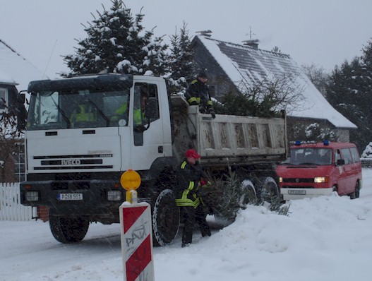 Weihnachtsbaumverbrennen 2010