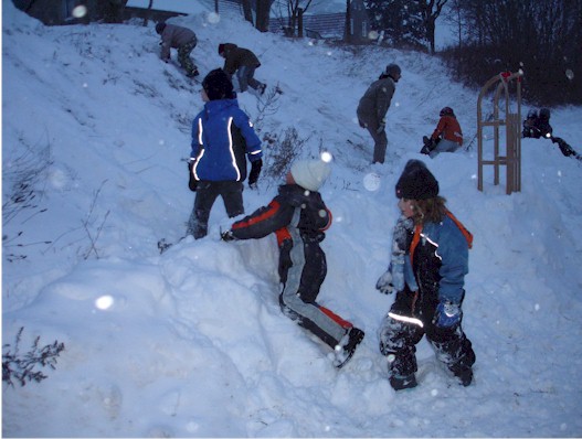 Weihnachtsbaumverbrennen 2010