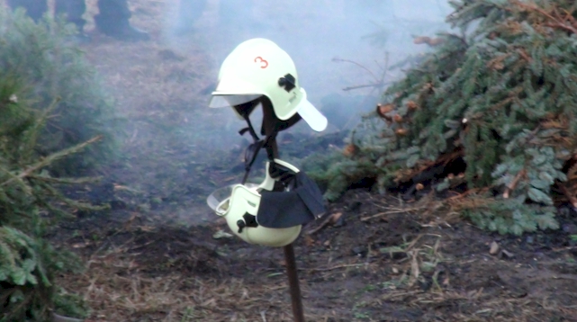 Weihnachtsbaumverbrennen 2012